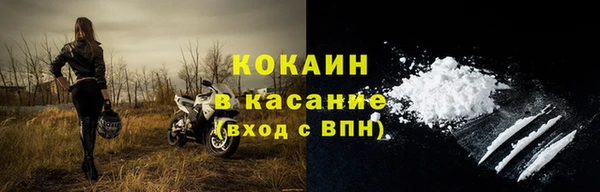 крисы Аркадак