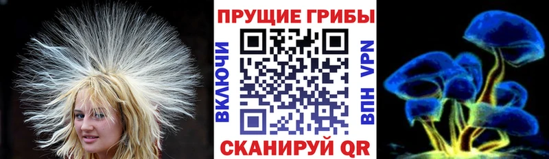 Псилоцибиновые грибы GOLDEN TEACHER  площадка телеграм  Курлово 